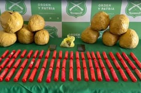 Carabineros incauta 133 kilos de marihuana en allanamientos en Iquique y Alto Hospicio
