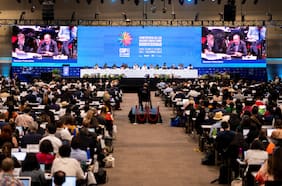 Columna de Margarita Ducci: COP16 por la biodiversidad, el rol transformador de las empresas