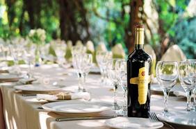 Misiones de Rengo: constante innovación