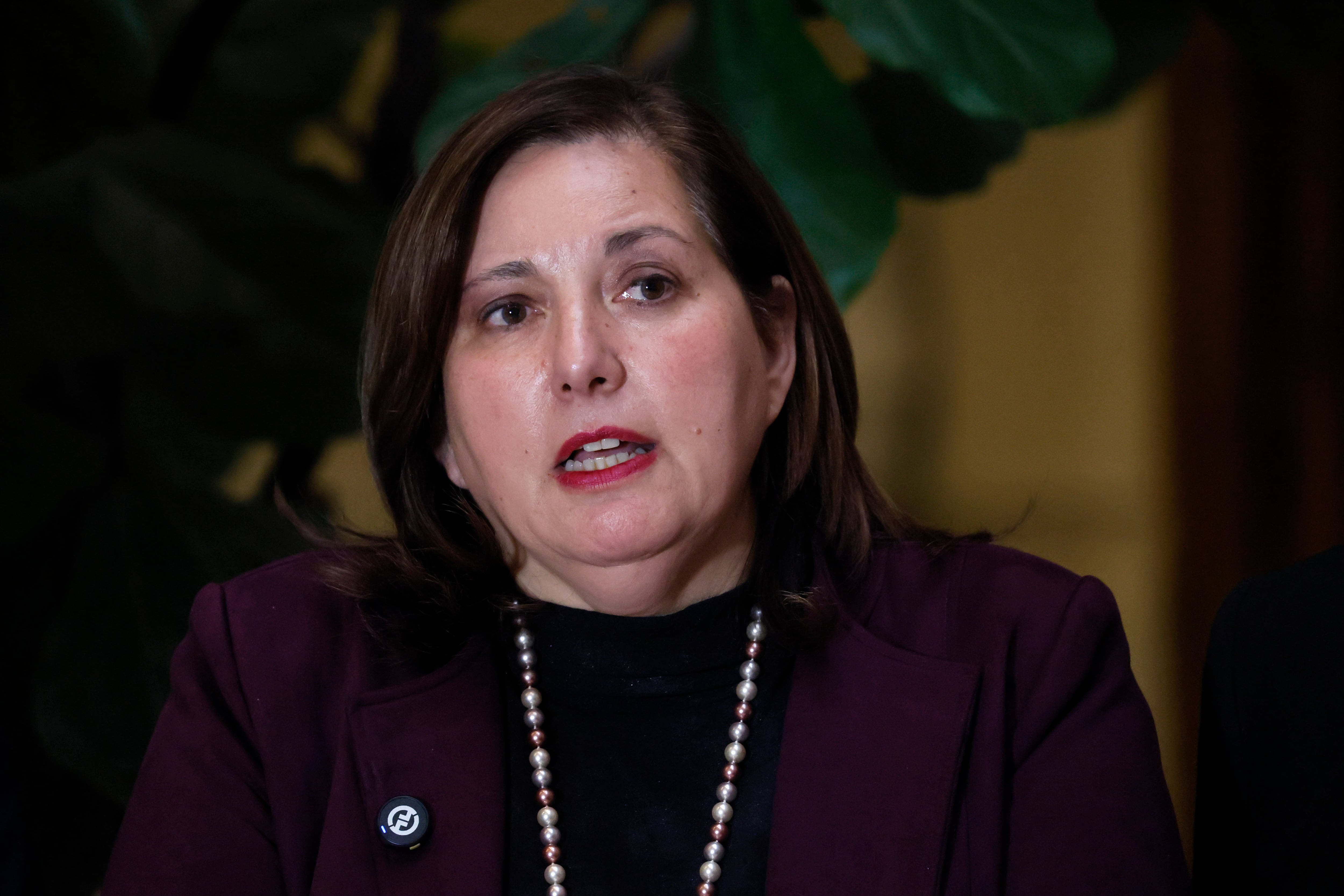 Senadora Vodanovic (PS) critica manejo del gobierno ante plan para matar al alcalde White: “No se le ha tomado el peso”