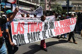 Solicitan aplazar para el 4 de marzo desalojo de la toma Lajarilla en Viña del Mar: acusan falta de contingente y medios