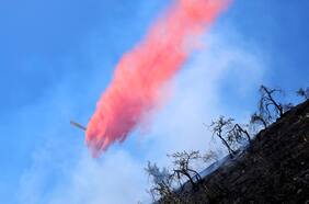 Incendio forestal motiva declaración de alerta roja en Los Sauces: ordenan evacuar sector de Nahuelve