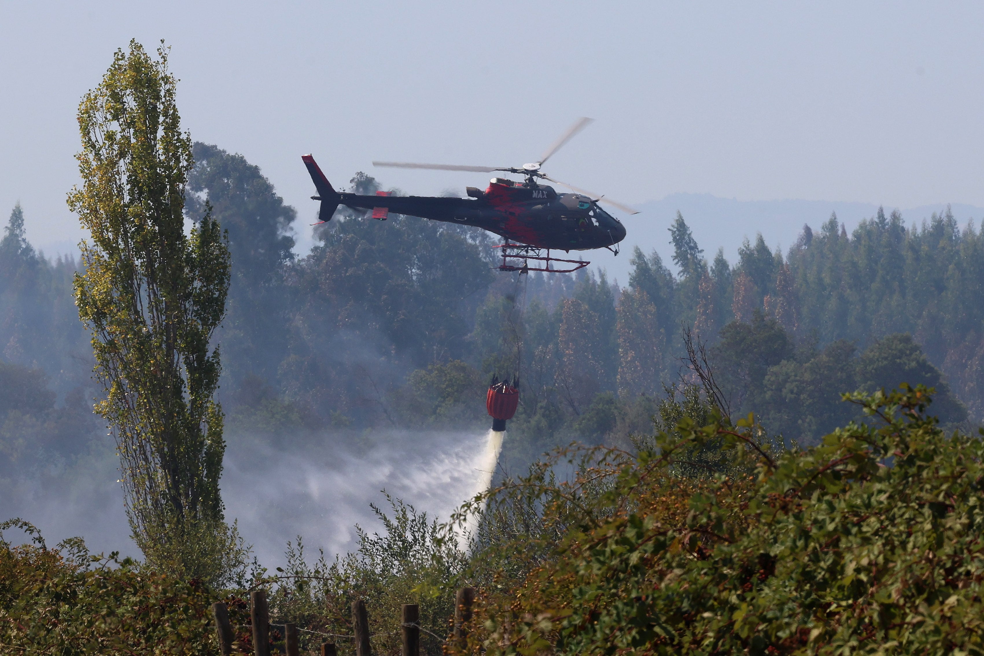 Incendio Forestal en Machalí Controlado, Región de O'Higgins Alerta por Altas Temperaturas