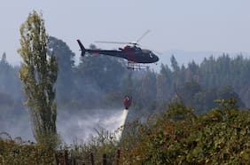 Senapred declara alerta roja en Tiltil por incendio forestal: alertan rápida propagación y viviendas afectadas