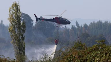 Senapred declara alerta roja en Nueva Imperial por incendio forestal