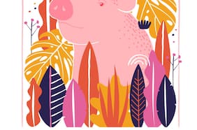 Horóscopo Chino 2018 por Pedro Engel: el chancho