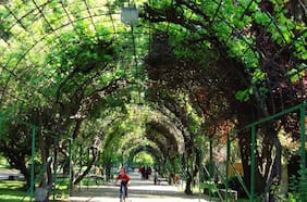 Parque Juan XXIII