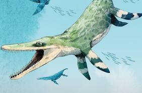 Siete metros y una mordida más poderosa que la de un tiranosaurio rex: descubren en el norte colosal reptil marino de la era de los dinosaurios