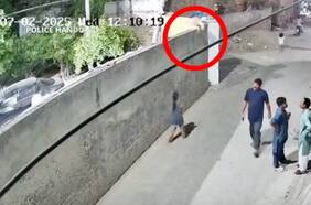 León que era mantenido como mascota ataca a una mujer en Pakistán
