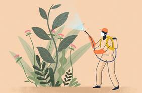 Consejos para lidiar con las plagas en las plantas