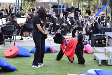 Colina anuncia nueva Unidad de Neurodiversidad Comunal para NNA