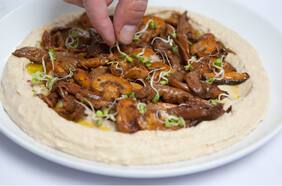 Puré de porotos con ragú de champiñones