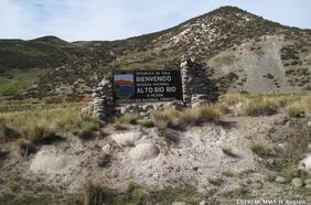 Alerta roja en Lonquimay por incendio forestal que está a 900 metros de la Reserva Nacional Alto Biobío