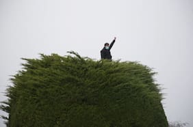 El árbol: Las redes de parentesco y amistad en el oficialismo
