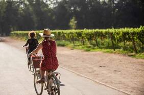 Viña Cousiño Macul: Disfruta y aprende de vinos