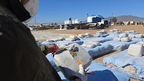 Avaluada en cerca de $11 mil millones: incautan casi una tonelada de droga en Coquimbo