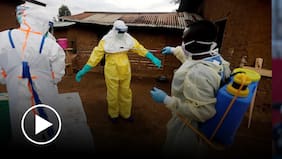 ¿Por qué el peligroso virus del Ébola se sigue expandiendo?