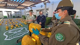 Decomisan más de 250 kilos de droga en Coquimbo: cargamento está avaluado en más de $2.200 millones