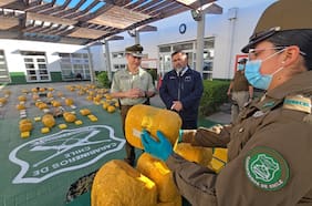 Decomisan más de 250 kilos de droga en Coquimbo: cargamento está avaluado en más de $2.200 millones