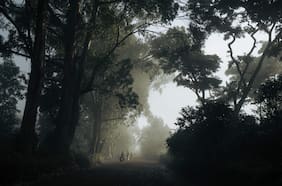 Soñar con el terror y crear un videojuego desde el sur