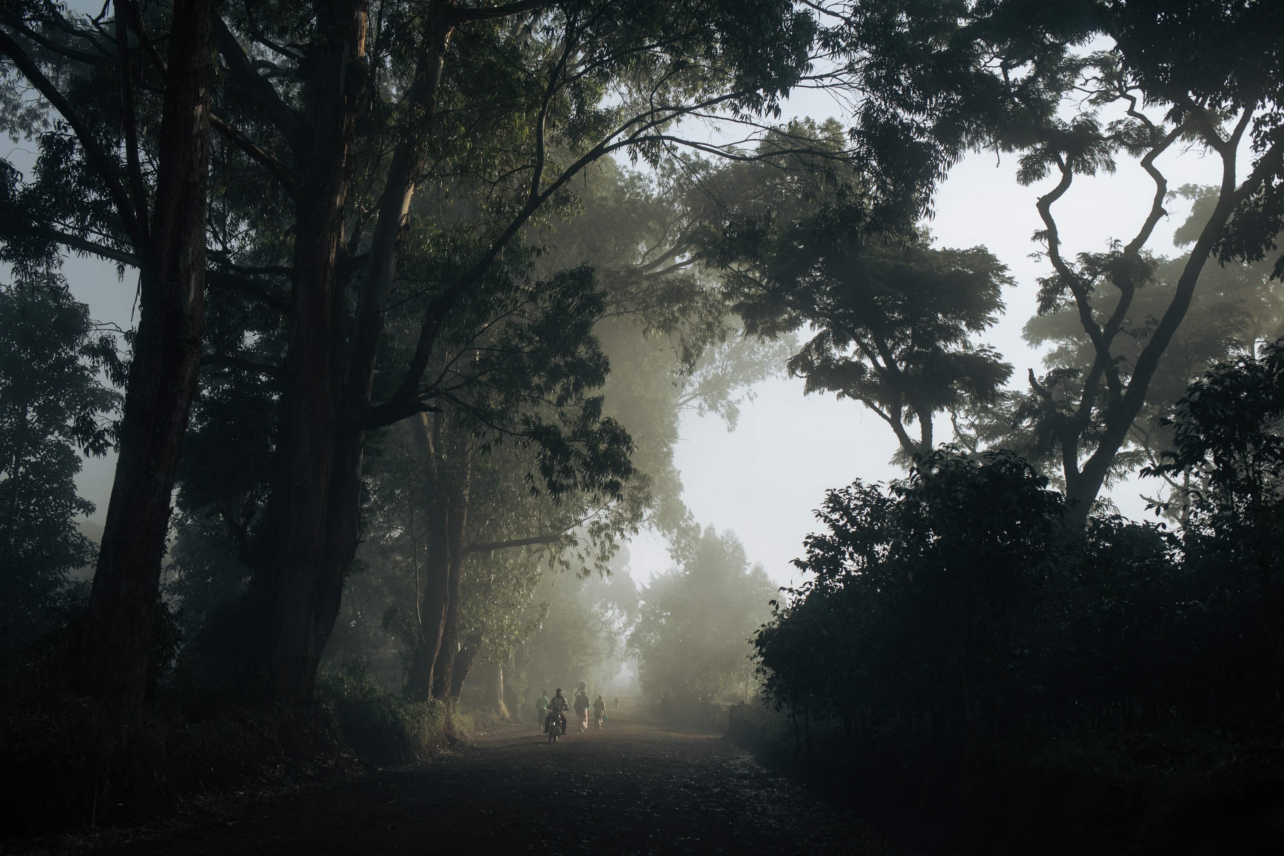 Soñar con el terror y crear un videojuego desde el sur