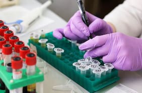 De Valdivia a Tierra del Fuego