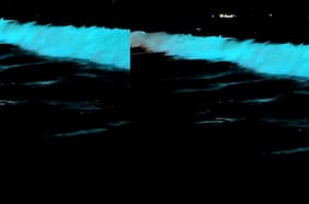 ¡Es real!: Bahía Inglesa se ilumina con espectacular bioluminiscencia