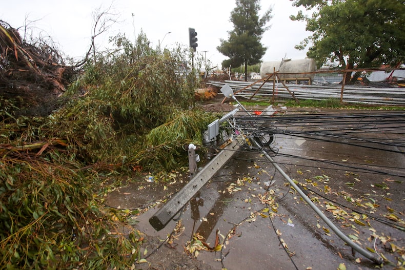 Trees fall in Santiago