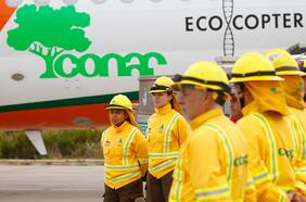 Solicitan las renuncias del ministro de Agricultura y la directora ejecutiva: funcionarios de Conaf inician el lunes paro nacional