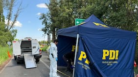 Investigan hallazgo de cadáver de una mujer en carretera que une las comunas de Freire y Villarrica