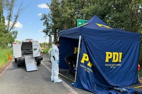 Investigan hallazgo de cadáver de una mujer en carretera que une las comunas de Freire y Villarrica