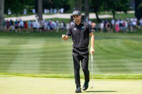 Las sociedades de inversión de Joaquín Niemann en Chile