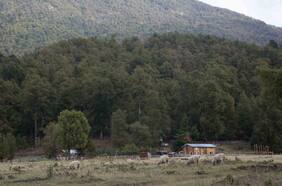 6 panoramas imperdibles para hacer en la Patagonia Argentina