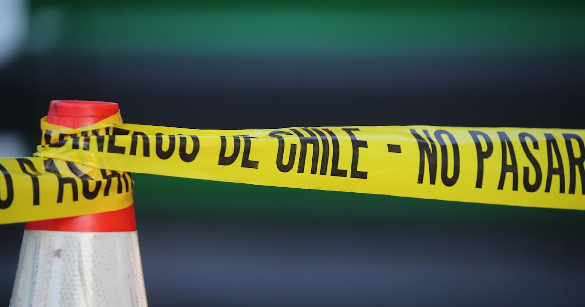 Matifil councilwoman's daughter is found lifeless after turning into a wetland in Valdivia - The Third