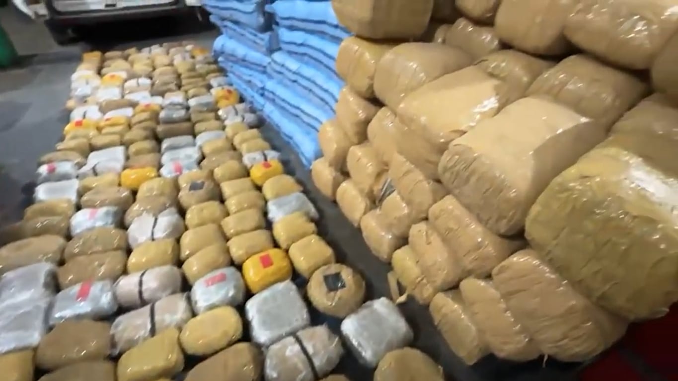 PDI incauta más de 800 kilos de cannabis en operativo contra estructura criminal en la Región Metropolitana
