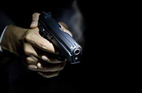 Diputados Hirsch y Naranjo piden al gobierno dar urgencia a proyecto que prohíbe el porte de armas a civiles