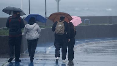 Alertan por precipitaciones con isoterma cero alta en La Araucanía, Los Ríos y Los Lagos
