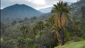 Desde hoteles hasta un club house: Contraloría detecta más de 400 construcciones irregulares vecinas al Parque Nacional La Campana