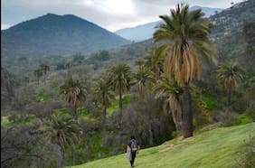 Hijuelas: un tesoro natural a descubrir en el valle de Aconcagua