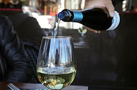 La Fiesta de la Vendimia de Vicuña reunirá lo mejor del Valle del Elqui en un sólo lugar