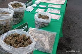 Plan Cannabis: Carabineros detiene a 34 personas y decomisa más de 600 kilos de marihuana