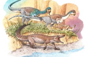 Revelan la existencia de un cocodrilo terrestre prehistórico que vivió junto al Lago General Carrera y fue contemporáneo al Chilesaurio
