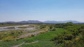 La pelea ambiental del empresario Jonás Gómez contra el gobierno por el mayor humedal urbano del país