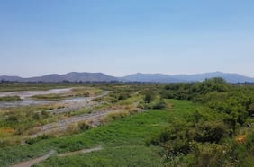 La pelea ambiental del empresario Jonás Gómez contra el gobierno por el mayor humedal urbano del país