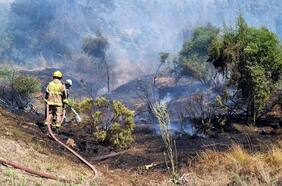 Damnificados de los incendios en Valparaíso: las ayudas del gobierno en números