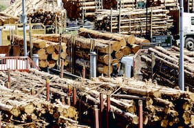 Mercado reporta quiebre de stock de madera por mayor demanda y problemas de oferta