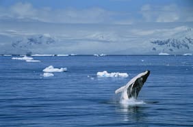 Patricia Morales: “Debe haber mayor entendimiento de qué es la triple crisis y cuáles son las consecuencias en todas las carteras”