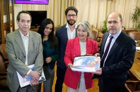 ¿Cómo funciona el protocolo para la denuncia e investigación de un caso de acoso sexual en el Estado?