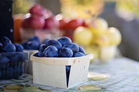 Gremio frutícola anticipa que carozos chilenos volverán a marcar récord de exportación