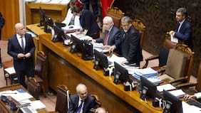 Con requisito de 0,5% del padrón para nuevos partidos: Senado aprueba reforma política impulsada por Elizalde y proyecto avanza a la Cámara